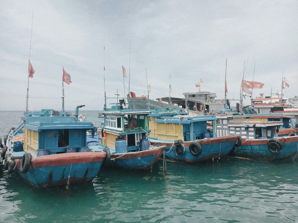 Đội tàu cá neo tại bến
